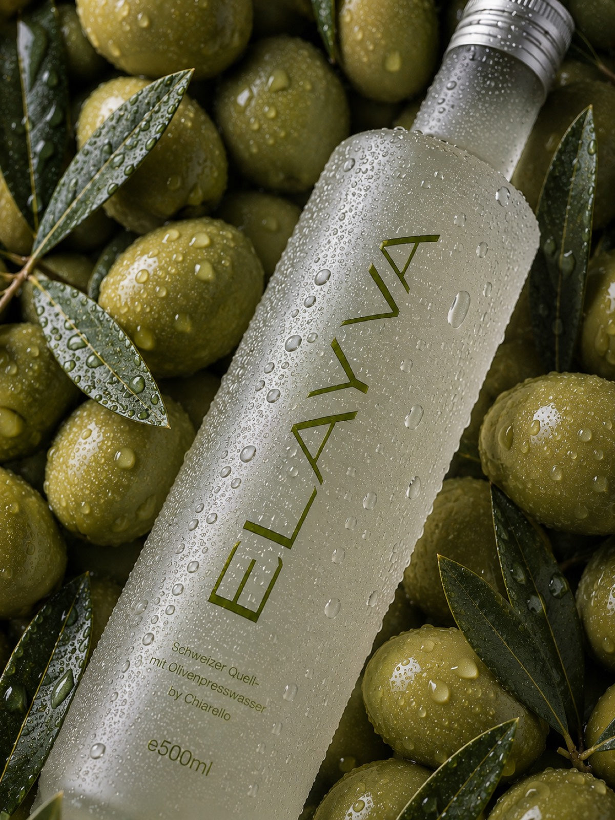 ELAYVA bottle among olive branches